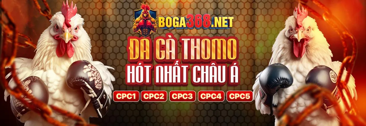 Cá cược thể thao tại 11uu chính thức với đa dạng môn và kèo cược