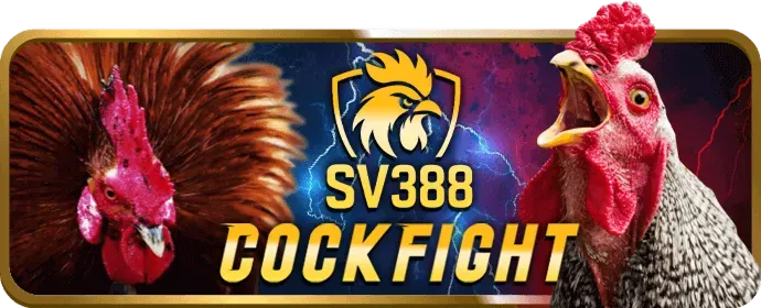 Chương trình VIP độc quyền của 11uu chính thức